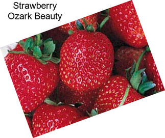 Strawberry Ozark Beauty