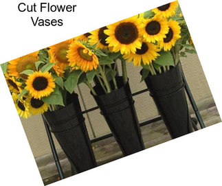 Cut Flower Vases