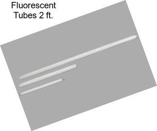 Fluorescent Tubes 2 ft.