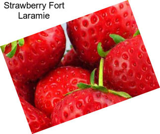 Strawberry Fort Laramie