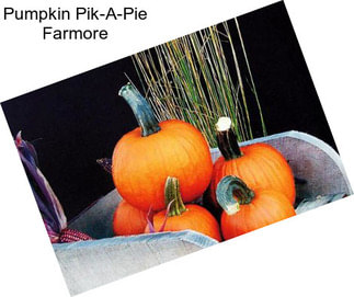 Pumpkin Pik-A-Pie Farmore