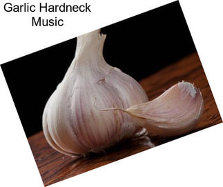 Garlic Hardneck Music