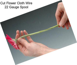 Cut Flower Cloth Wire 22 Gauge Spool