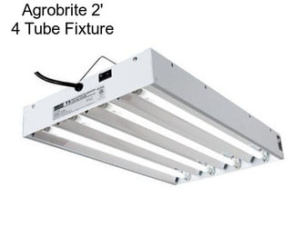 Agrobrite 2\' 4 Tube Fixture