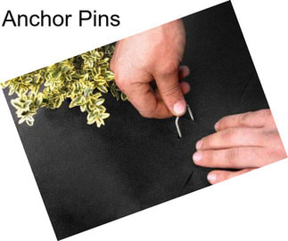 Anchor Pins