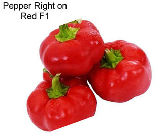 Pepper Right on Red F1