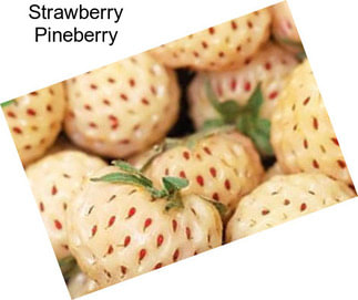 Strawberry Pineberry