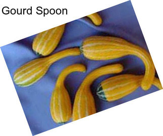 Gourd Spoon