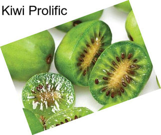 Kiwi Prolific