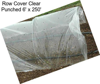 Row Cover Clear Punched 6\' x 250\'