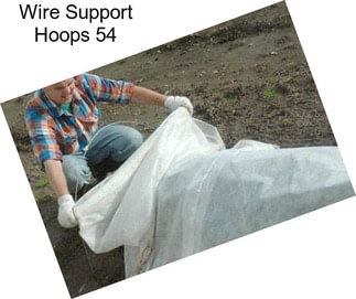 Wire Support Hoops 54\