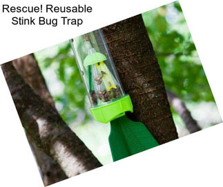 Rescue! Reusable Stink Bug Trap