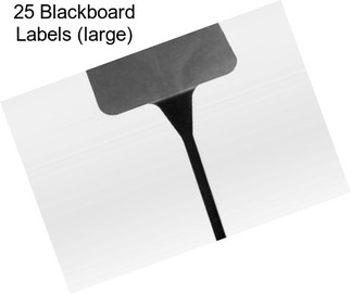 25 Blackboard Labels (large)