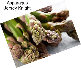 Asparagus Jersey Knight