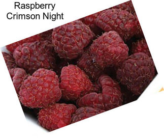 Raspberry Crimson Night