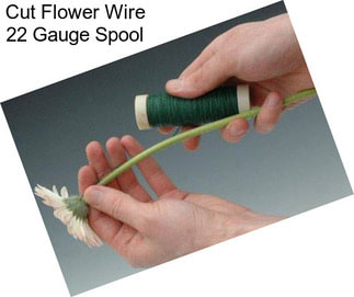 Cut Flower Wire 22 Gauge Spool