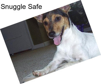 Snuggle Safe