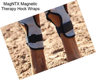 MagNTX Magnetic Therapy Hock Wraps