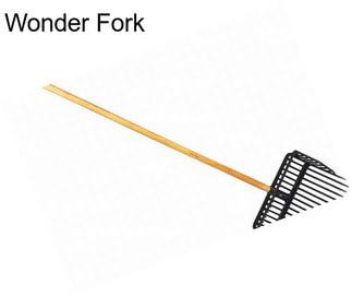 Wonder Fork