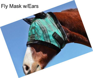 Fly Mask w/Ears