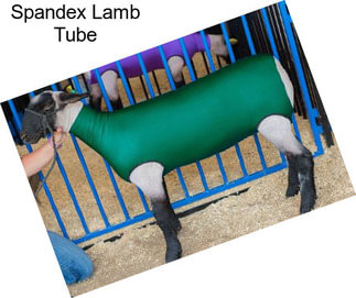 Spandex Lamb Tube
