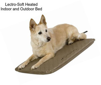 Lectro-Soft Heated Indoor and Outdoor Bed