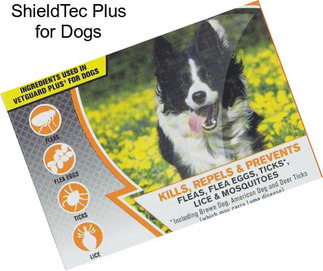 ShieldTec Plus for Dogs