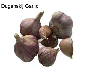 Duganskij Garlic