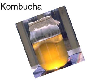 Kombucha