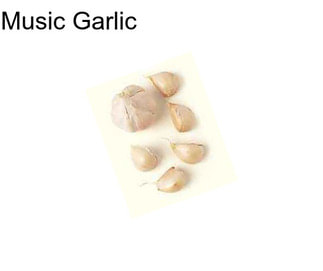 Music Garlic