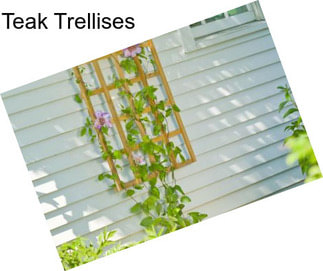 Teak Trellises