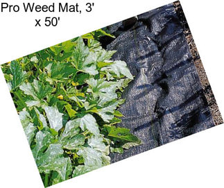 Pro Weed Mat, 3\' x 50\'