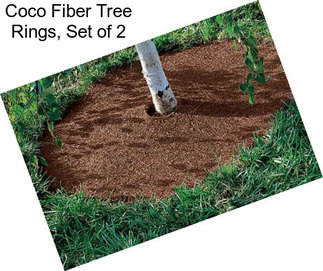 Coco Fiber Tree Rings, Set of 2