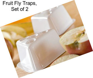 Fruit Fly Traps, Set of 2