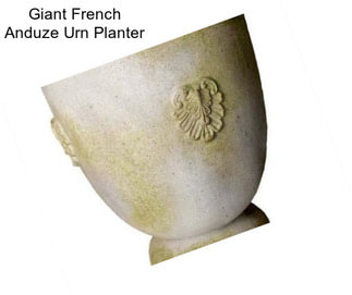 Giant French Anduze Urn Planter