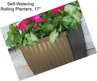 Self-Watering Rolling Planters, 17”