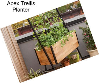 Apex Trellis Planter