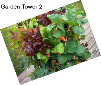 Garden Tower 2
