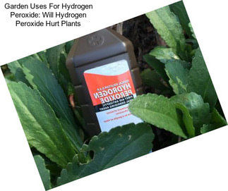 Garden Uses For Hydrogen Peroxide: Will Hydrogen Peroxide Hurt Plants