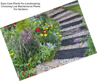 Easy Care Plants For Landscaping: Choosing Low Maintenance Plants For Gardens