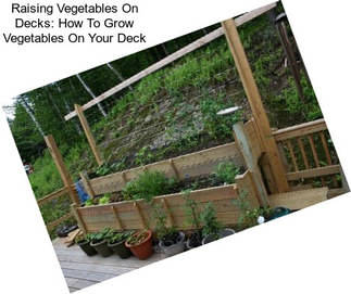 Raising Vegetables On Decks: How To Grow Vegetables On Your Deck