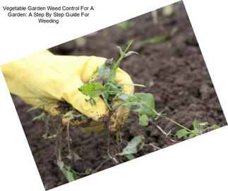 Vegetable Garden Weed Control For A Garden: A Step By Step Guide For Weeding