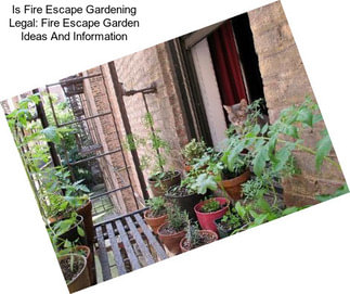 Is Fire Escape Gardening Legal: Fire Escape Garden Ideas And Information