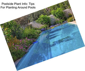 Poolside Plant Info: Tips For Planting Around Pools