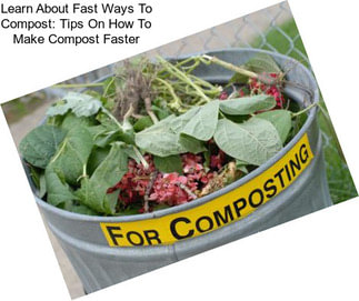 Learn About Fast Ways To Compost: Tips On How To Make Compost Faster