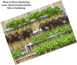 What Is Micro Gardening: Learn About Outdoor/Indoor Micro Gardening