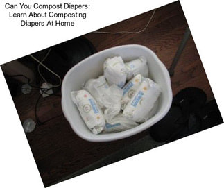 Can You Compost Diapers: Learn About Composting Diapers At Home