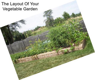 The Layout Of Your Vegetable Garden