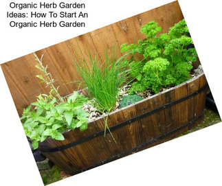 Organic Herb Garden Ideas: How To Start An Organic Herb Garden