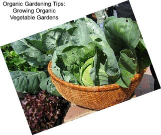 Organic Gardening Tips: Growing Organic Vegetable Gardens